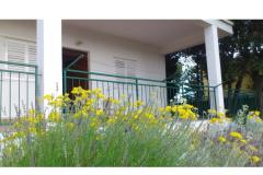 Apartmány vila Diana Apartmán 1 - apartman M foto 2