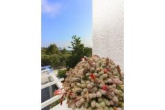 Apartmány Gordana Apartmán 1 - Novi foto 3