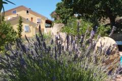 Apartmány Dumičić Apartmán 3: (6+1) - A6 donji foto 3