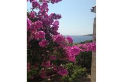 Vesna apartmani Apartmán 2 - A2 foto 1