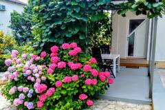 Apartmány i Izby Markovic Apartmán 1 - "KRASNO" foto 2