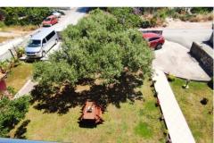 Apartmány Villa Magnolija Apartmán 3 - apartman 3 foto 4
