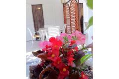 Villa Aura Maris Apartmán 2 - Anka foto 2
