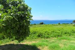 Summerhouse Belomo Apartmán 1 - Belomo foto 3