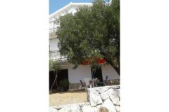 Prázdninový dom Mirjana Apartmán 1 - Mirjana foto 4