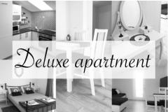 Logos Apartmán 1 - Delux foto 1