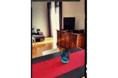 Lu-Do Apartmány Apartmán 1 - One foto 5