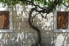 Stara kuća Apartmán 1 - Stara kuća foto 2