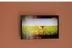 Apartmány Love Tučepi Apartmán 3 - NARANČASTI foto 5