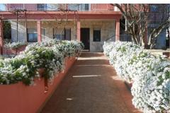 Apartmány Budi Apartmán 1 - Apartman foto 1