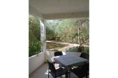 Apartmány Galius Ugljan Apartmán 2 - Galius A2 foto 4