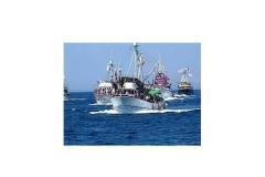 Apartmán Matija Apartmán 1 - Matija foto 3