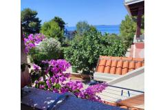 Apartmány Delfin Apartmán 1 - 1.kat foto 1