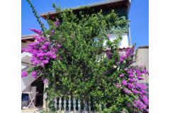 Apartmány Delfin Apartmán 2 - prizemlje foto 1