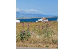 Apartmány Mišković Apartmán 1 foto 1