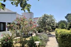 Apartmány Budija / Lavanda Apartmán 1 - Lavanda 1 foto 2
