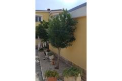 Ferienanlage Villa Ljiljana Apartmán 2 - Bungalow foto 2