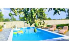 Villa Dora Apartmán 1 - Villa Dora foto 1