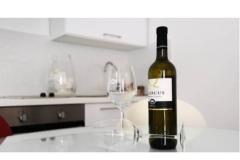 Apartmány Udovičić Apartmán 2 - App.1(2+2) foto 3