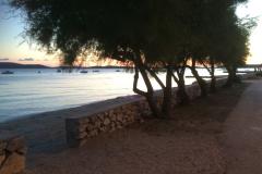 Kiwi Dom Apartmán 1 - Rada foto 1