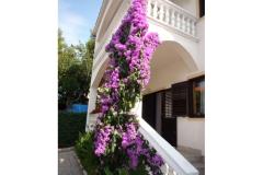 Vila Lana Apartmán 1 foto 2