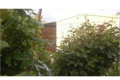 Apartmány DANI Apartmán 1 - HomeM. M4 foto 5