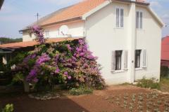 Dom Branka Apartmán 1 - Kuća foto 1