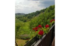 Apartmány Potočki Apartmán 1 - Apartman 1 foto 1