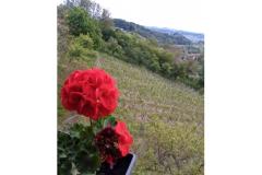 Apartmány Potočki Apartmán 2 - Apartman 2 foto 1