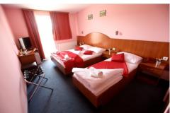 Hotel Zagi Izba 3 - Trokrevetn foto 1