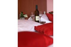 Hotel Zagi Izba 3 - Trokrevetn foto 3