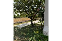 Apartmány Ana Ercegović  Apartmán 1 - Apartman 1 foto 2