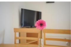 Appartement Graf Apartmán 3 - Ap 2+3 foto 4
