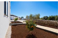 Dalma Park Apartmán 1 - Natura Lux foto 3