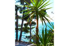 Apartmány Anita Jelaš Veža Apartmán 3 - JELAŠ A4+1 foto 1