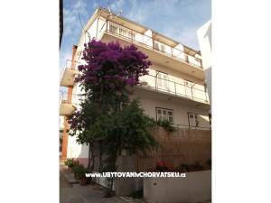 Apartmány Zuban