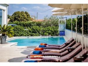 Apartmány Kimi with swimming pool 