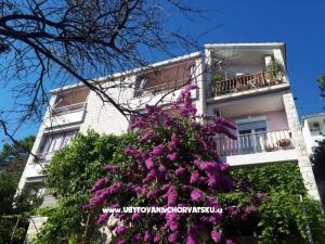 Apartmány Moso