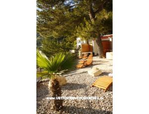 Apartmány BIKIN