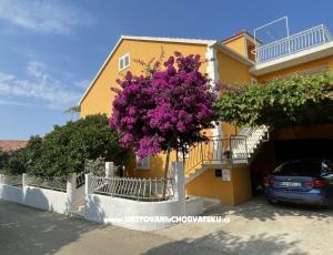 Apartmány  Ante