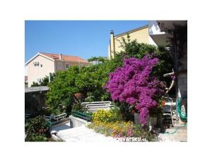 Apartmány - Minka i Vite