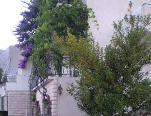 Apartmány Antonela Drašnice