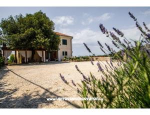 Apartmány Andreja