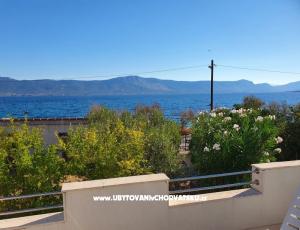 Apartmán Nikola´s