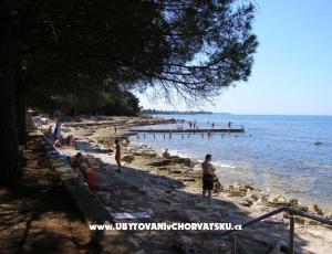 Apartmány San Pelegrin