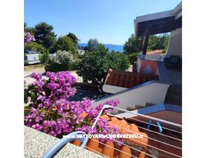 Apartmány Delfin