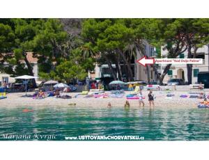 Apartmány u dvou palem