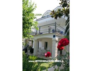 Apartmány Musa