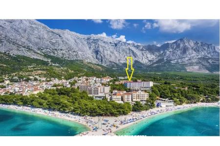 Ruža Baška Voda Chorvátsko