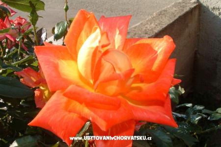 Apartmány Želo foto 4